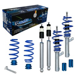 Kit Combiné Fileté Blueline approprié pour VW Eos 2006–2015 1.4 TSI